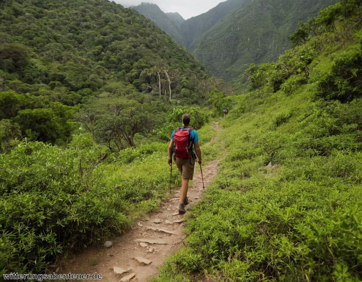 Verantwortliches Verhalten im Naturpark - Wandern im Nationalpark Naturschutz oder Freizeitspaß auf Kosten der Umwelt