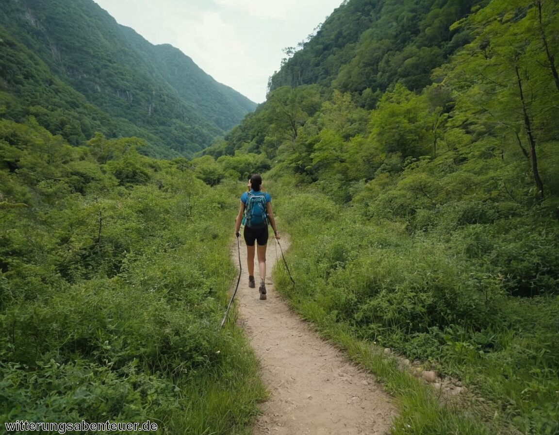 Kontaktmöglichkeiten bei Notfällen sicherstellen - Geführte Wanderungen Sicherheit oder Verlust echter Freiheit