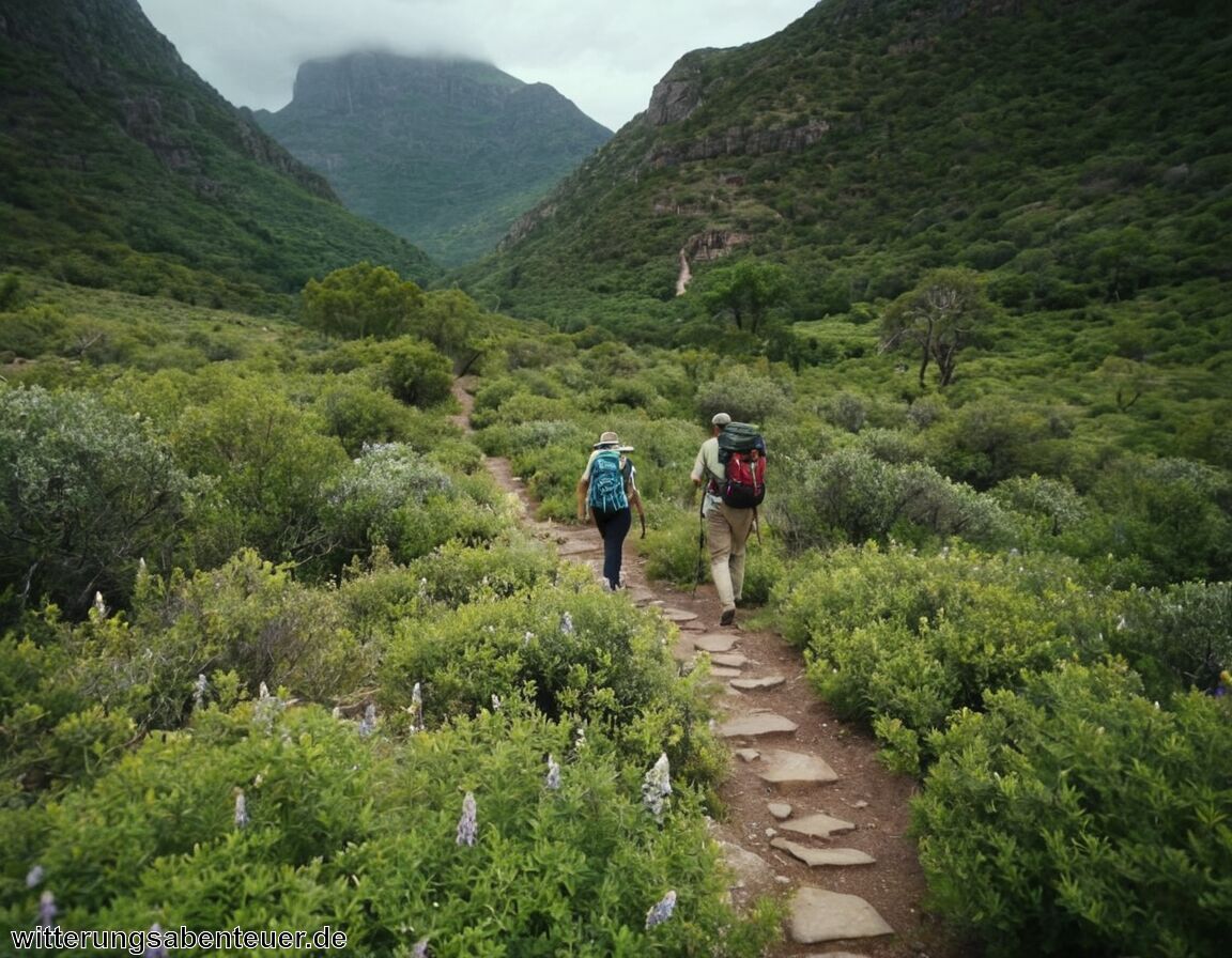 Einfluss von Besucherzahlen auf Flora und Fauna - Wandern im Nationalpark Naturschutz oder Freizeitspaß auf Kosten der Umwelt